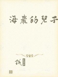 海岩的儿子