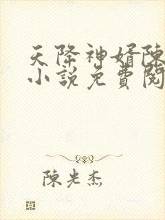 天降神婿陈黄皮小说免费阅读