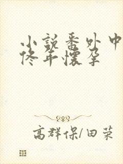 小说番外中结局佟年怀孕