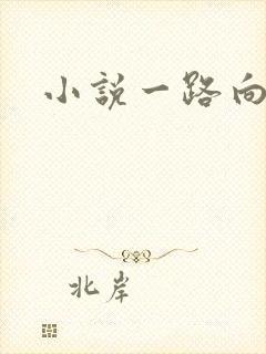 小说一路向西