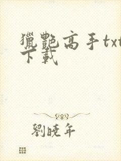 猎艳高手txt下载