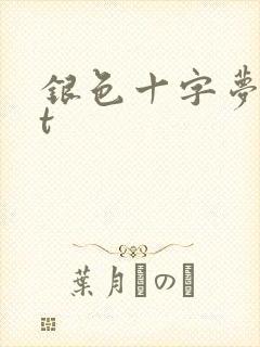 银色十字梦txt