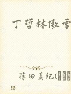 丁哲林傲雪小说