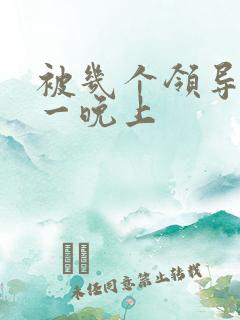 被几个领导玩弄一晚上