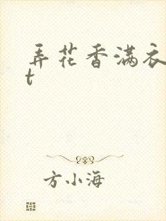 弄花香满衣txt