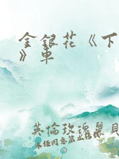 金银花《下厨房》车