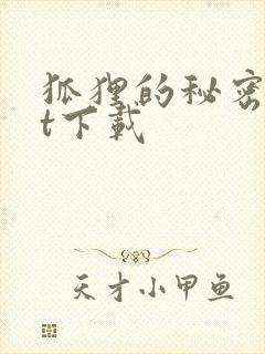 狐狸的秘密txt下载