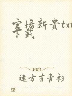 官场新贵txt下载