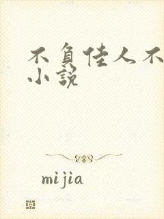 不负佳人不负卿小说