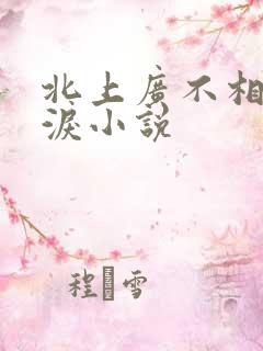 北上广不相信眼泪小说