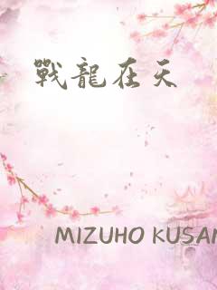 战龙在天