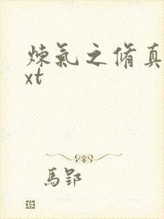 炼气之修真者txt