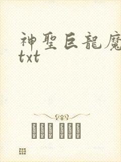 神圣巨龙魔法师txt