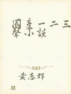 国产一二三区有声小说