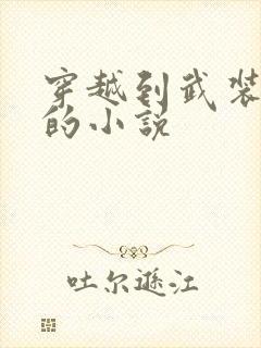 穿越到武装少女的小说