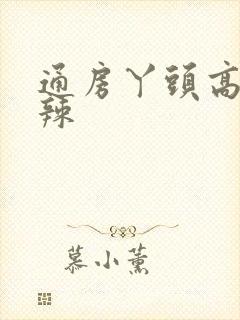 通房丫头高h肉辣