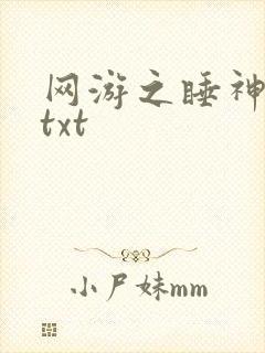网游之睡神传说txt
