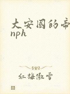 大安国的帝姬hnph