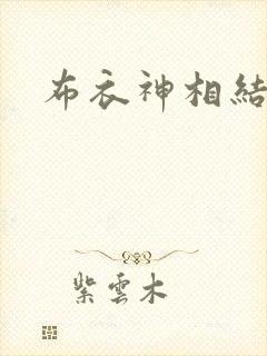 布衣神相结局