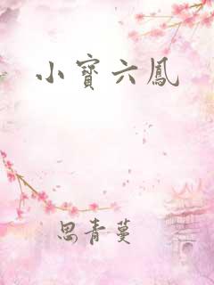 小宝六凤