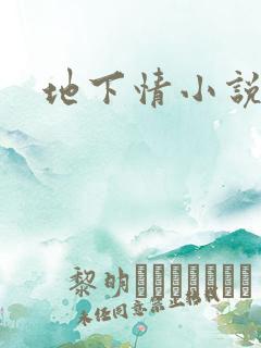 地下情小说