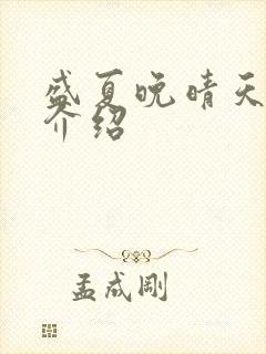 盛夏晚晴天剧情介绍