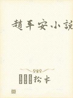 赵平安小说主角