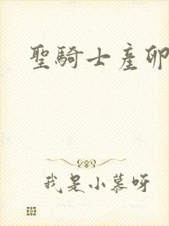 圣骑士产卵记