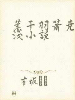 叶千羽萧尧白清浅小说