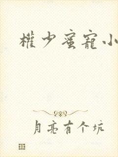 权少蜜宠小娇妻