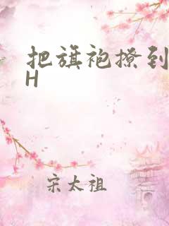 把旗袍撩到腰上H