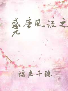 盛唐风流之武状元