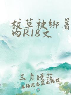 校草被绑着玩纯肉R18文