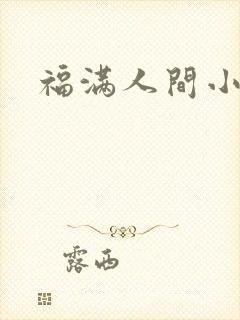 福满人间小说