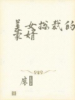 美女总裁的顶级豪婿