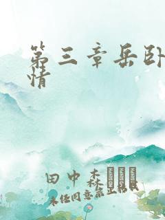 第三章岳卧室激情