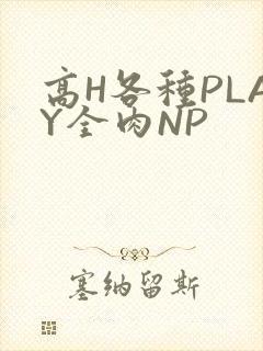 高H各种PLAY全肉NP