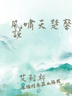 风啸天楚馨月小说