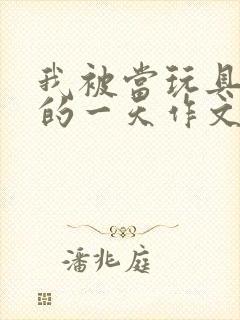 我被当玩具发泄的一天作文