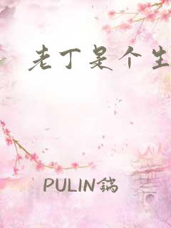 老丁是个生意人