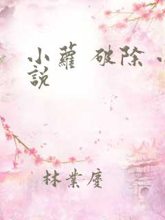 小萝 破除 小说