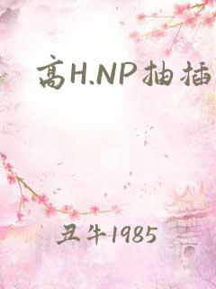 高H.NP抽插