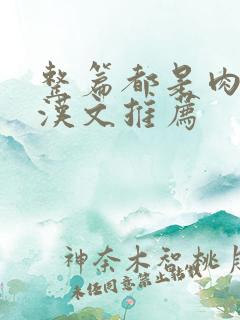 整篇都是肉的糙汉文推荐