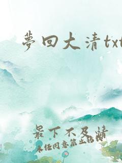 梦回大清txt