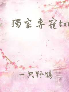 独家专宠txt