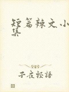 短篇辣文小说合集