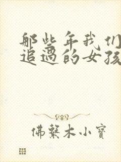 那些年我们一起追过的女孩小说