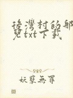 后湾村的那些事儿txt下载