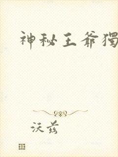 神秘王爷独宠妃