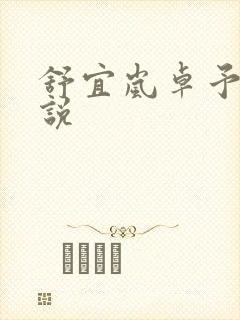 舒宜岚卓予淮小说